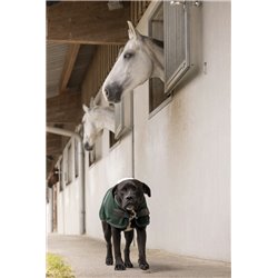 Couverture polaire DIEGO & LOUNA "TEDDY" 2