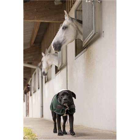 Couverture polaire DIEGO & LOUNA "TEDDY"