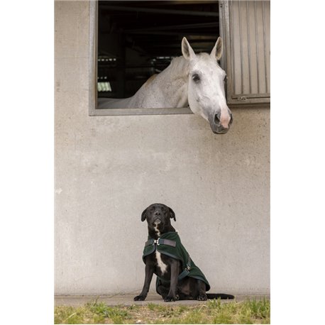 Couverture polaire DIEGO & LOUNA "TEDDY"