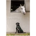 Couverture polaire DIEGO & LOUNA "TEDDY"