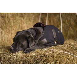 Couverture polaire DIEGO & LOUNA "TEDDY" 2