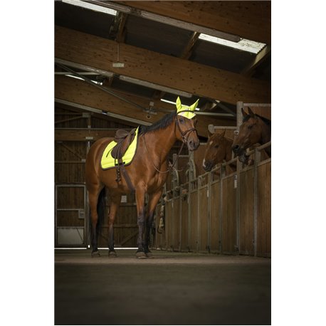EQUITHÈME Schabracke „High Visibility“