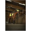 EQUITHÈME Schabracke „High Visibility“