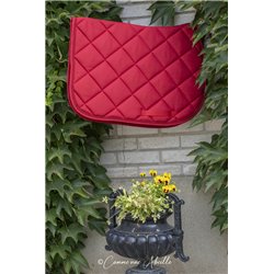 PADDOCK SATTELD.PREMS SH ROT 2