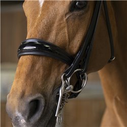 Bride NORTON PRO "Shiny" 2