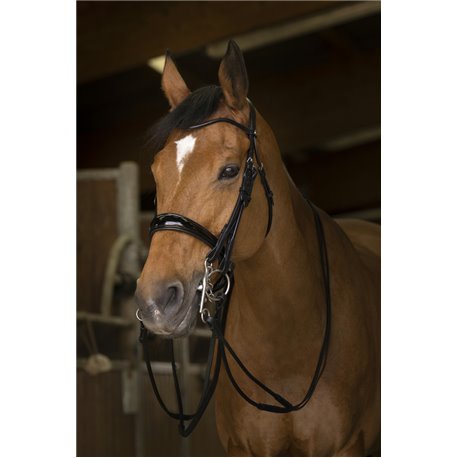 R?nes de bride NORTON PRO, cuir rond