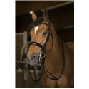 R?nes de bride NORTON PRO, cuir rond