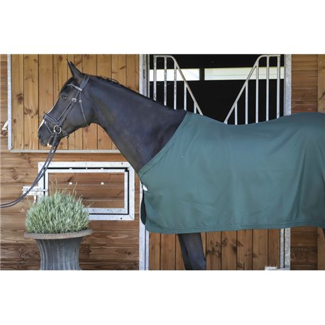 PADDOCK "Presentation" Decke