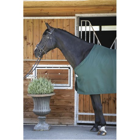 PADDOCK "Presentation" Decke