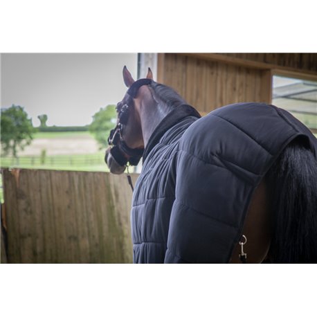 PADDOCK "UNTERDECKE"