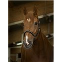 Licol cuir NORTON PRO "Strass", grooming