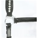 Licol cuir NORTON PRO "Strass", grooming