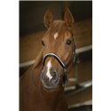 Licol cuir NORTON PRO "Diad?me", grooming