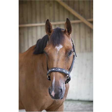 Licol PENELOPE "Pearl"