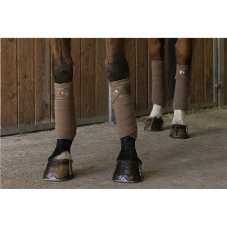 EQUITH?ME Bandagen ?Oslo?