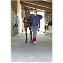 EQUITHÈME "Olivia" Hybrid Jacke