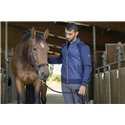 Veste hybride EQUITHÈME "Marc"
