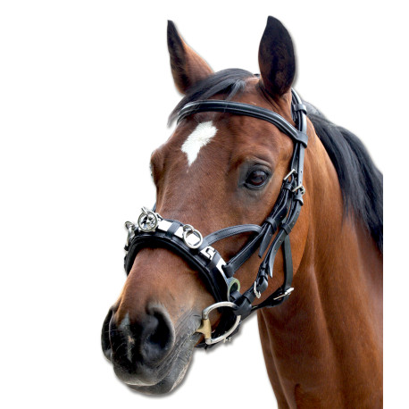 Waldhausen Kappzaum, Leder