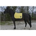 Tapis PADDOCK "Origine"