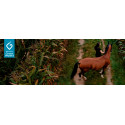 EQUITHÈME "TYREX 1200D" Recycelte Transportgamaschen