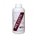 Electrolytes REKOR "Rek A Lyte"