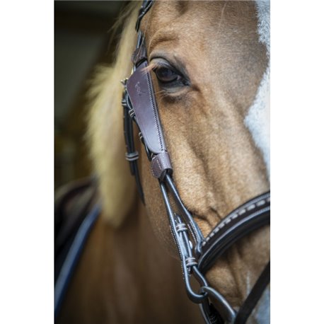 Oeillères PENELOPE "Blinkers"