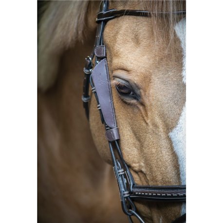 Oeillères PENELOPE "Blinkers"