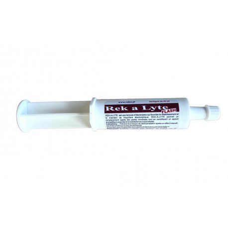 Electrolytes REKOR "Rek A Lyte" flash