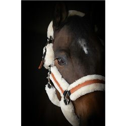 Halfter Penelope "Soft"