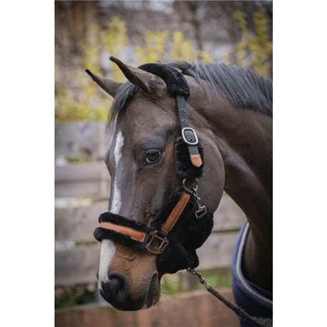 Licol PENELOPE "Soft"