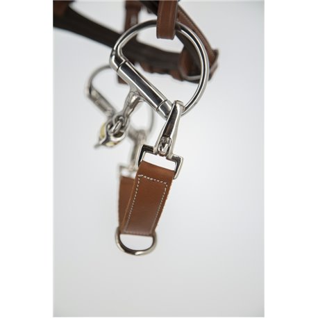 Alliance PENELOPE "Alliance"