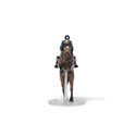 Cheval de saut d'obstacle et son cavalier PAPO