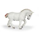 Percheron blanc PAPO