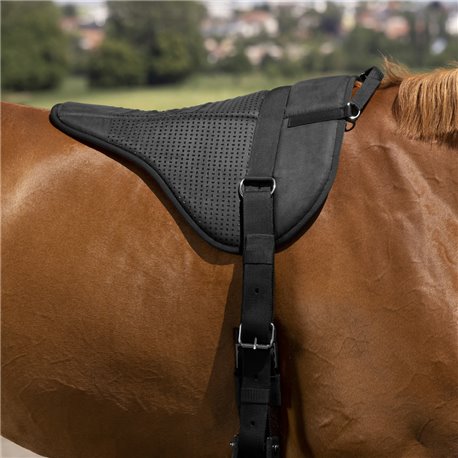 Tapis de monte ? cru NORTON "Silicone"