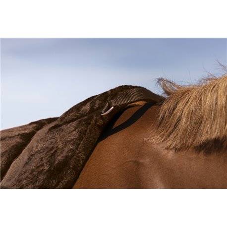 Tapis de monte ? cru NORTON "Confort"