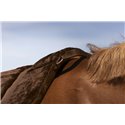 Tapis de monte ? cru NORTON "Confort"