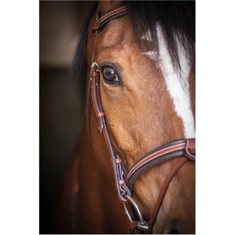 Bridon PENELOPE "US"