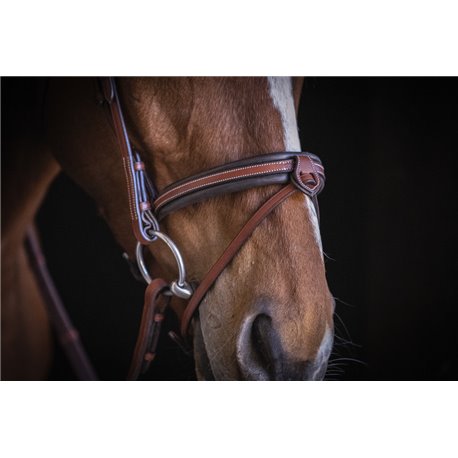 Bridon PENELOPE "US"