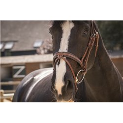 Bridon PENELOPE "Smoothie Pearl" 2