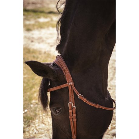 Bridon PENELOPE "El?gance"