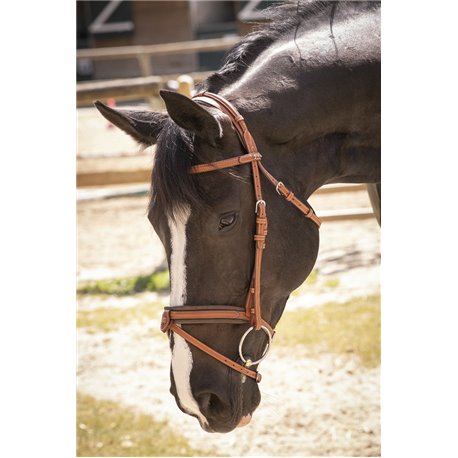 Bridon PENELOPE "El?gance"