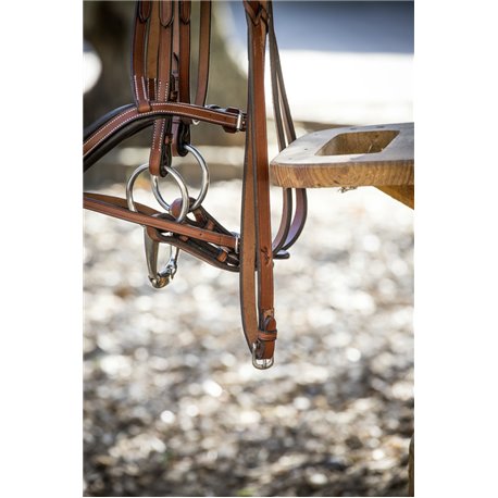 R?nes tress?es PENELOPE "US"