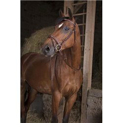 R?nes caoutchouc large NORTON PRO 2