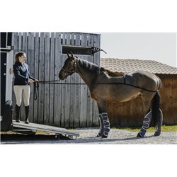 Enr?nement d'embarquement NORTON 2