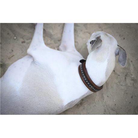 Collier pour chien PENELOPE "Point Sellier"