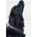 Collier pour chien PENELOPE "Point Sellier"