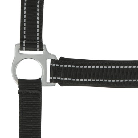 Licol NORTON "Reflective"