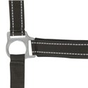 Licol NORTON "Reflective"