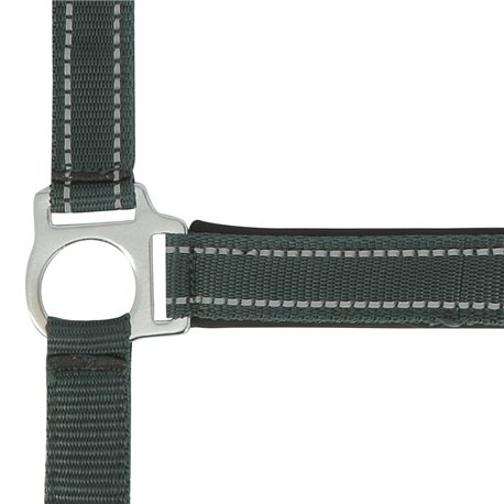 Licol NORTON "Reflective"
