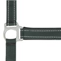 Licol NORTON "Reflective"